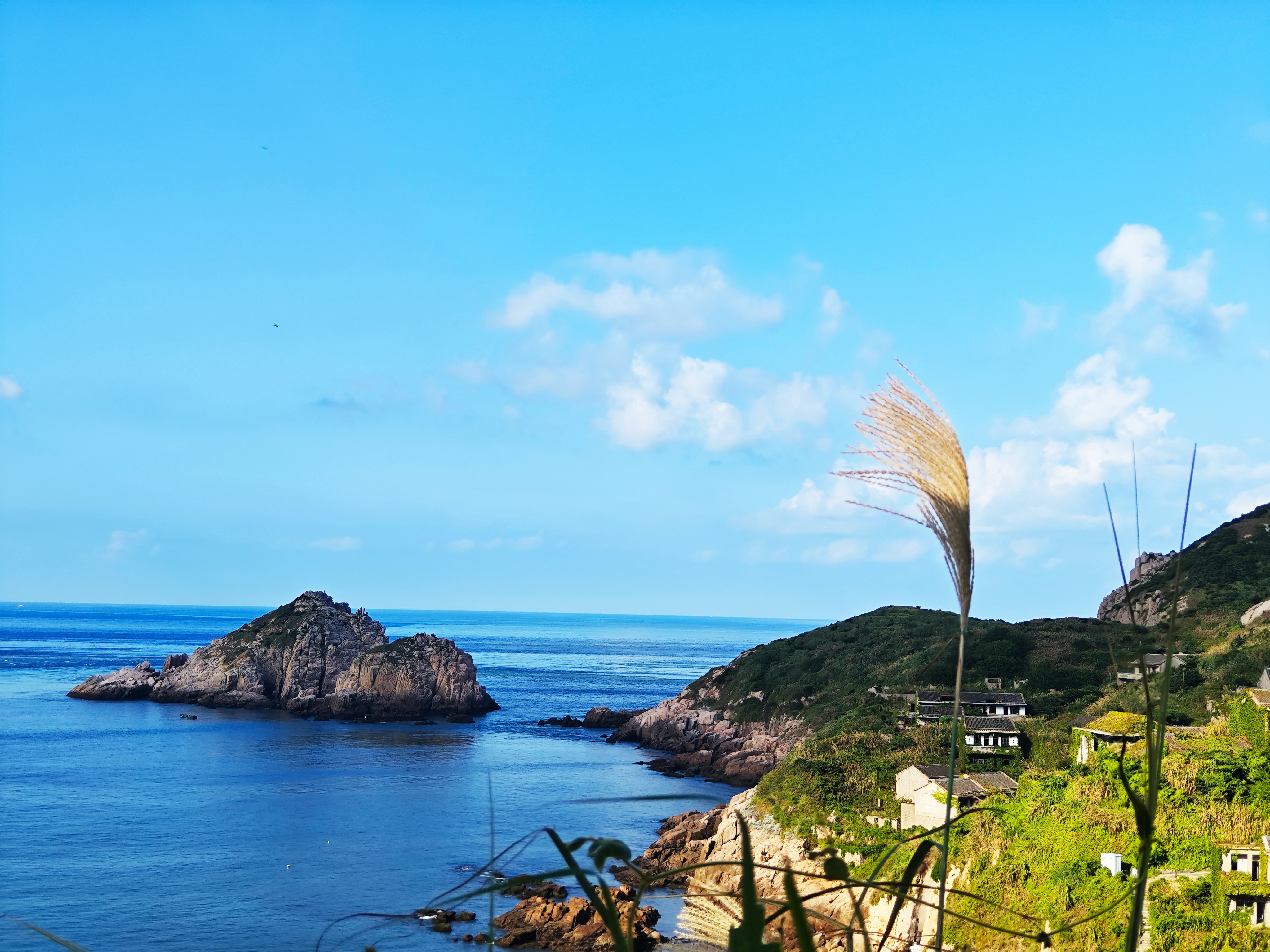 岱鼎燃烧枸杞岛之旅